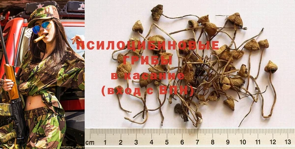 прущая мука Магас