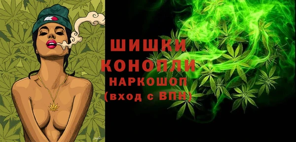 ПСИЛОЦИБИНОВЫЕ ГРИБЫ Лихославль