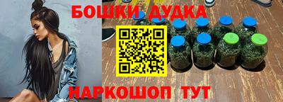 гидра Аргун