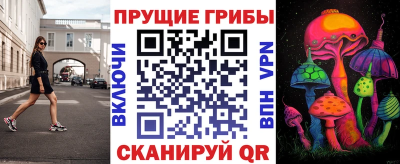 купить наркотик  Сосновый Бор  Псилоцибиновые грибы Psilocybine cubensis 