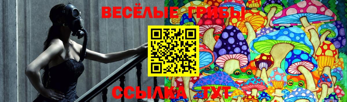 Галлюциногенные грибы прущие грибы  Вход с VPN  Сосновый Бор 