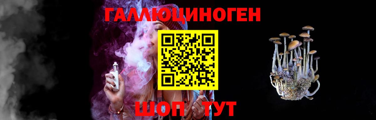 Псилоцибиновые грибы прущие грибы Сосновый Бор